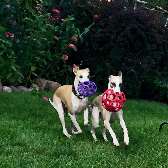 Meet the Posher - Picture 2 of 3